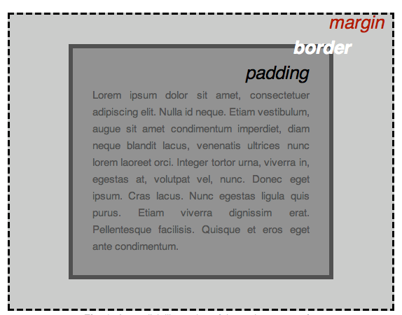 CSS Body, Padding Border and Margin Box Model